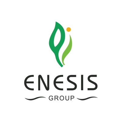 Enesis